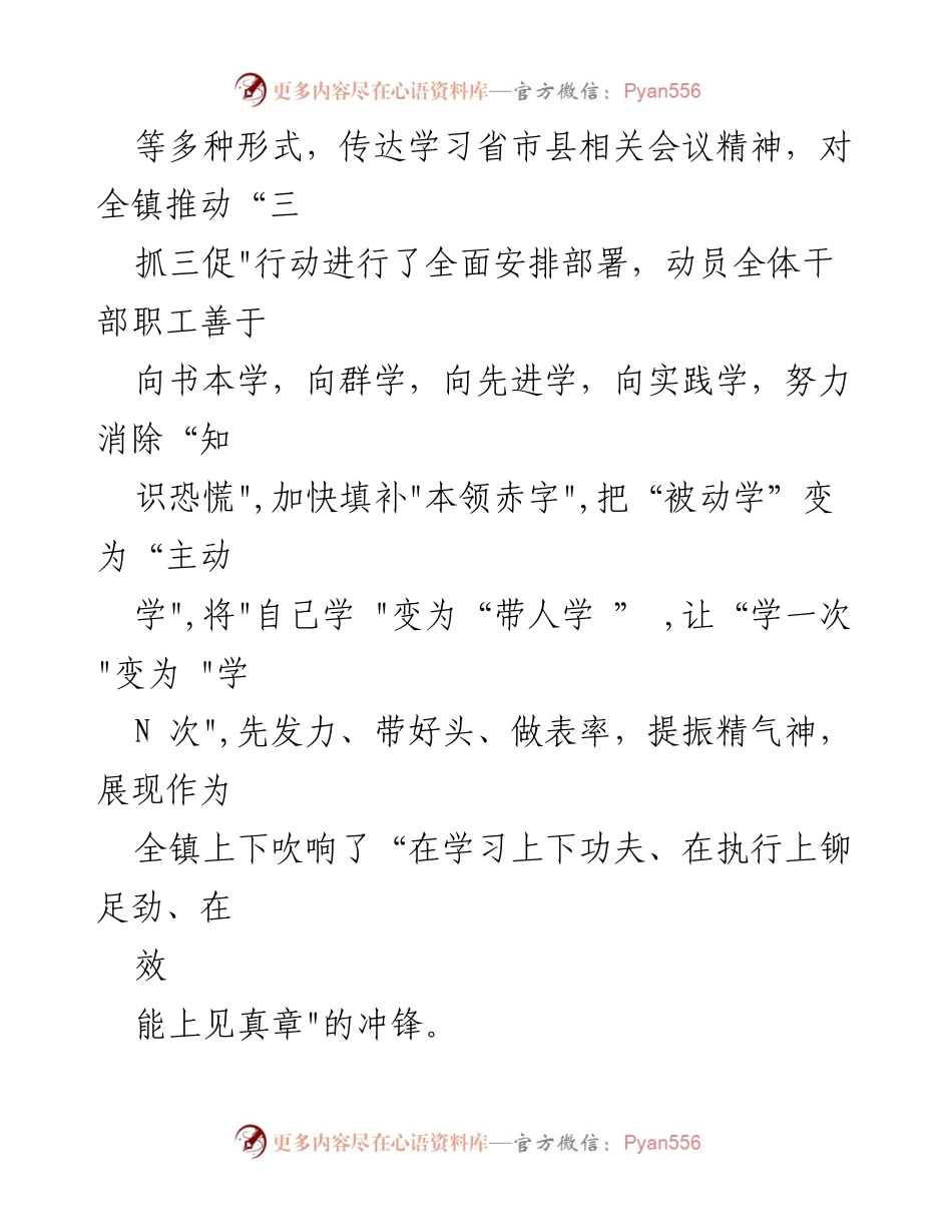 [工作总结] 乡镇三抓三促行动 - 乡镇三抓三促行动工作情况汇报总结.docx_第2页