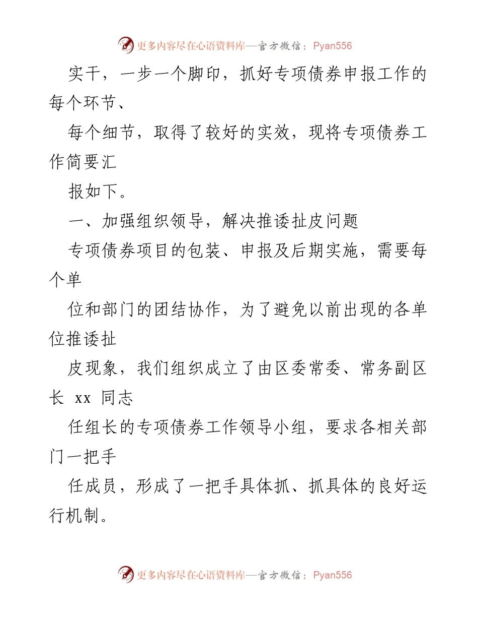 [工作总结] 专项债券工作 - 专项债券工作经验总结与实施策略.docx_第2页