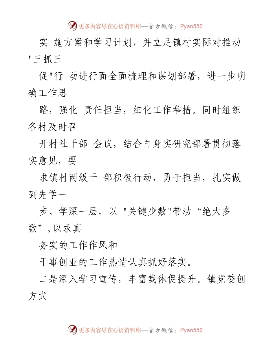 [工作总结] 乡镇工作推进 - 乡镇推进“三抓三促”行动的实施与成效.docx_第2页