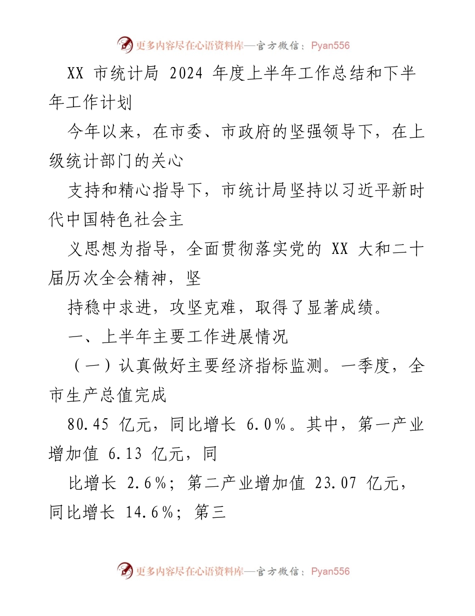 [工作总结] XX市统计局 - 2024年度上半年工作总结与下半年工作计划.docx_第1页