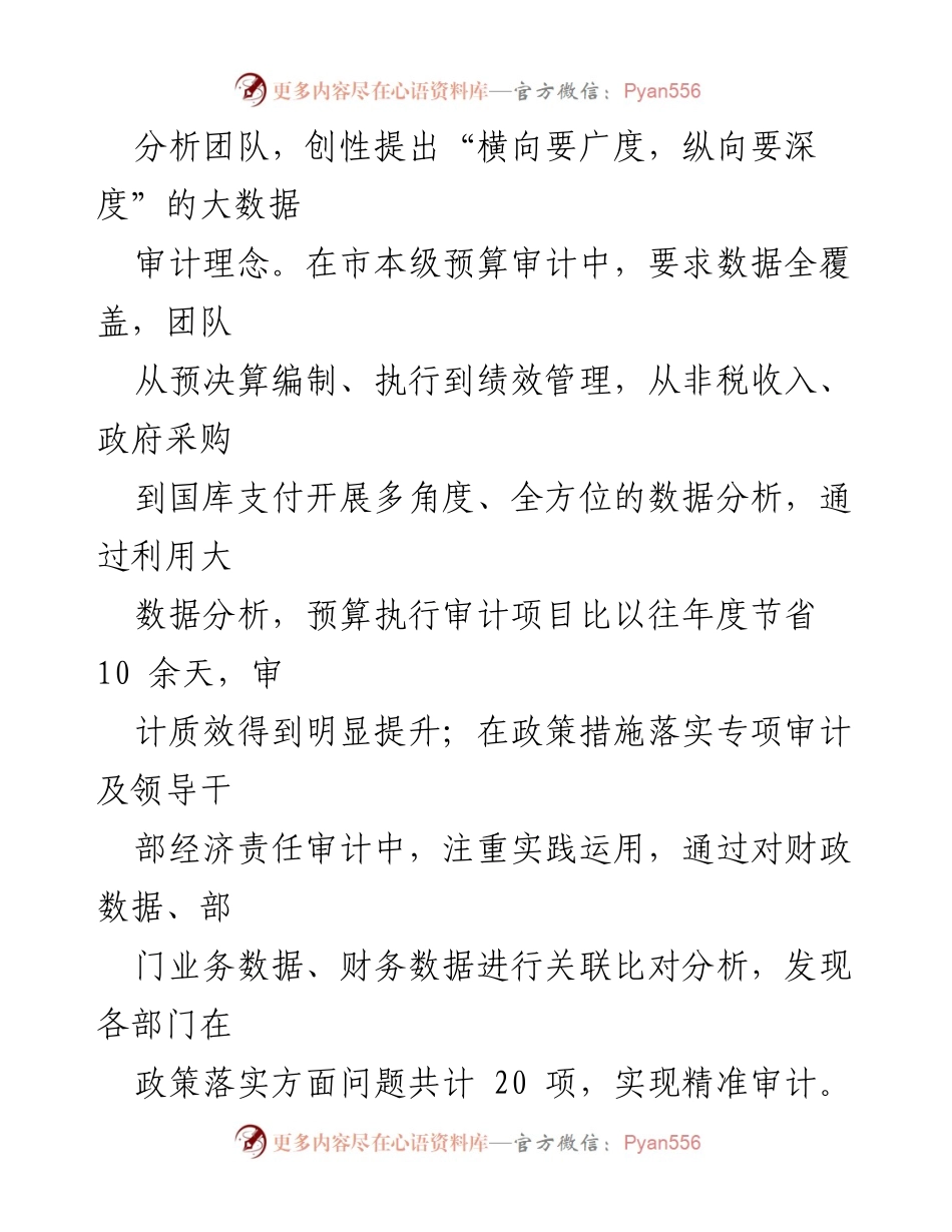 [工作总结] XX市审计局大数据工作交流 - 推动审计效率提升的创新实践.docx_第2页