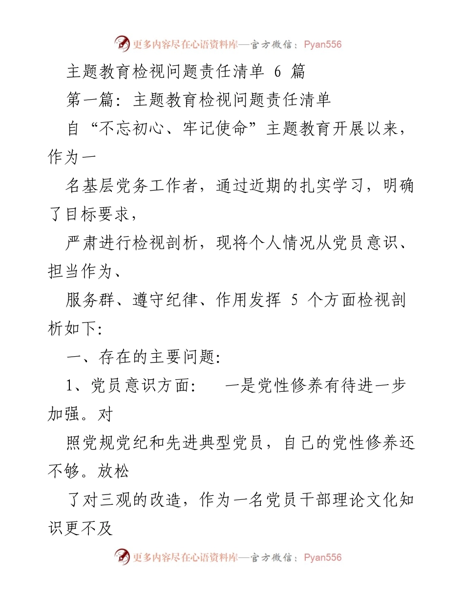 [工作总结] 主题教育 - 主题教育检视问题责任清单总结.docx_第1页