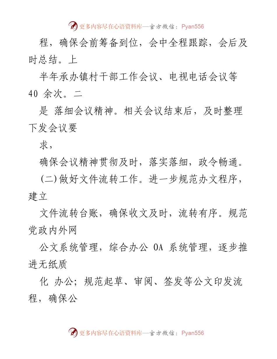 [工作总结] X镇党政办 - 2024年上半年工作总结报告.docx_第2页