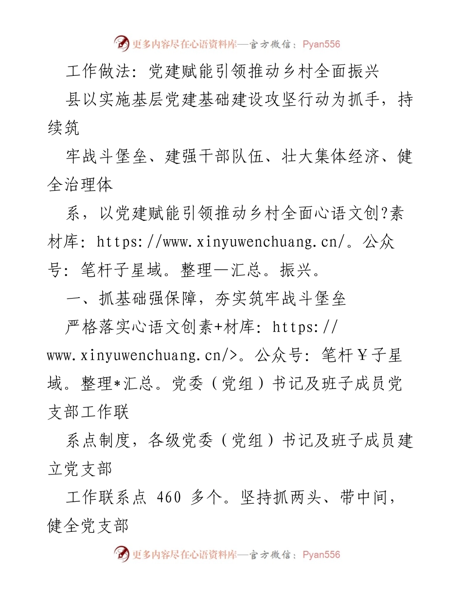 [工作总结] 乡村振兴 - 党建引领乡村全面振兴的实践与成效.docx_第1页