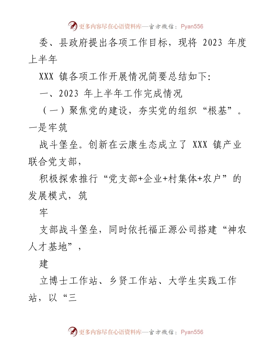 [工作总结] XX 镇 - 2023 年度上半年工作总结及下一步工作计划.docx_第2页