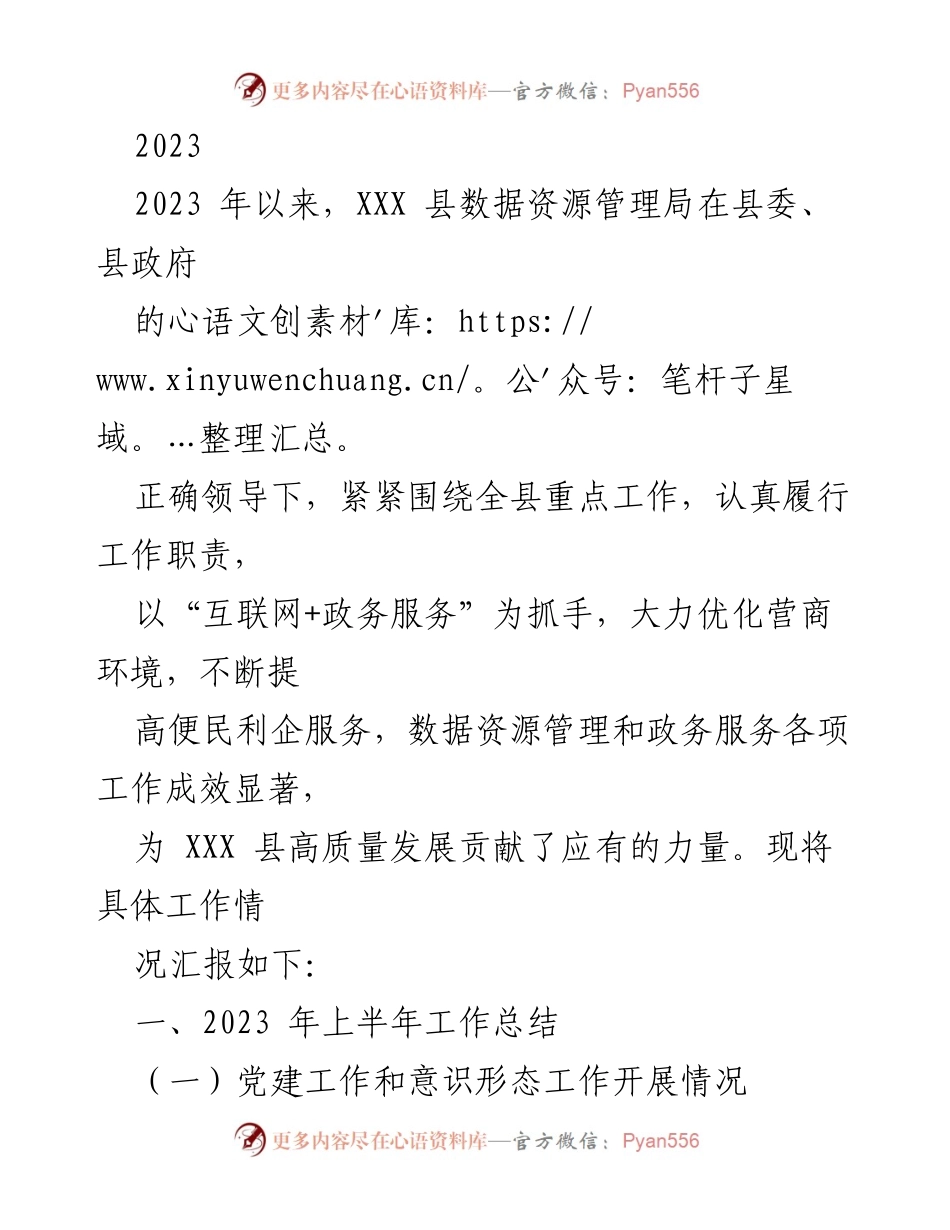 [工作总结] 上半年工作汇报 - XXX县数据资源管理局2023年上半年工作总结与成效分析.docx_第1页