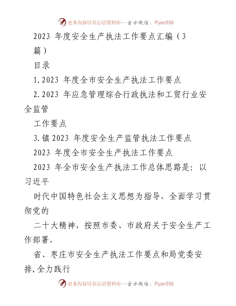 [工作总结] 2023年度安全生产执法工作 - 2023年度全市安全生产执法工作要点汇编.docx_第1页