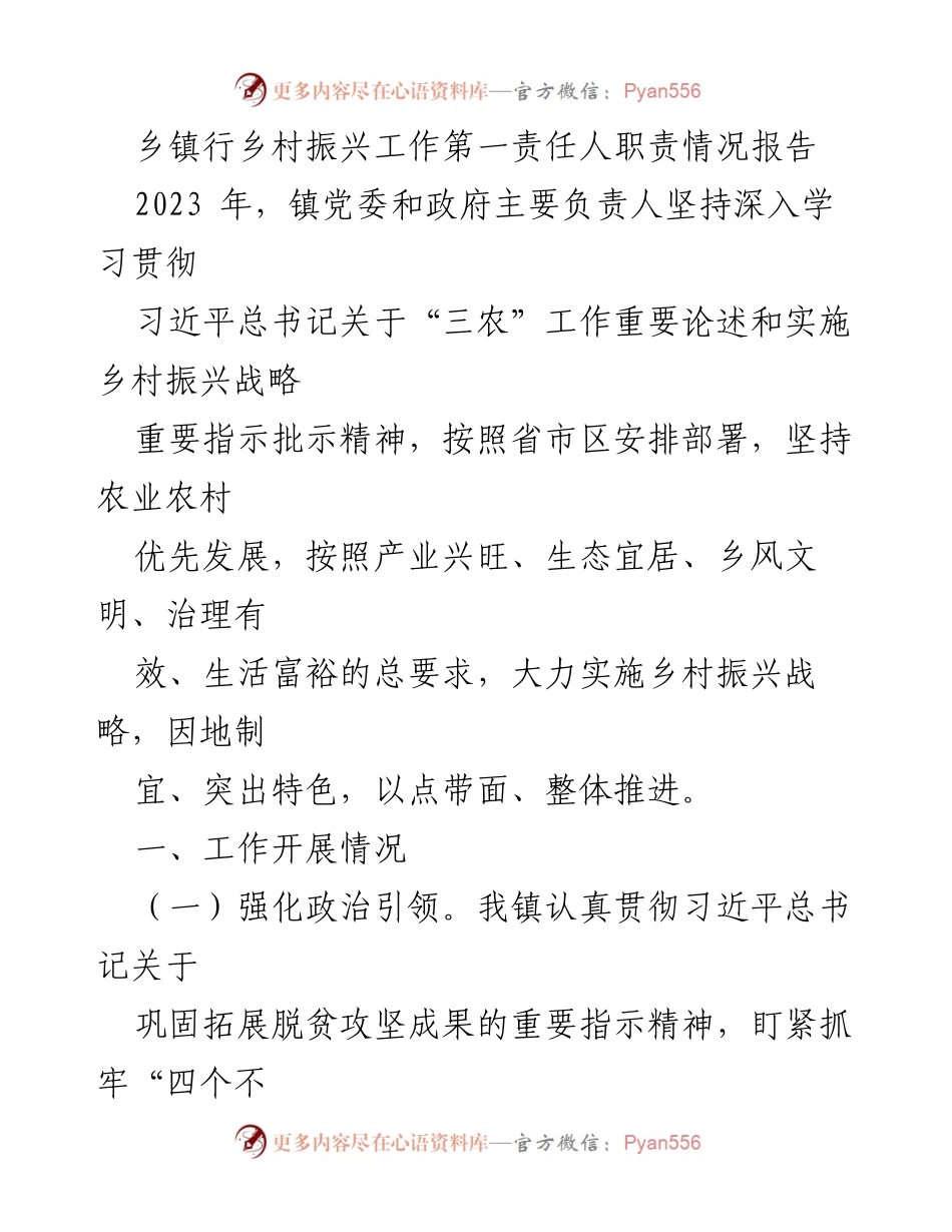 [工作总结] 乡镇 - 乡村振兴工作第一责任人职责情况报告.docx_第1页