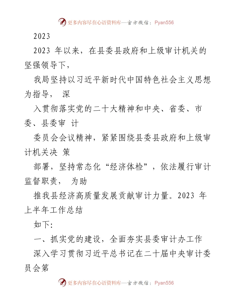 [工作总结] 上半年审计工作 - 2023年上半年审计工作总结报告.docx_第1页