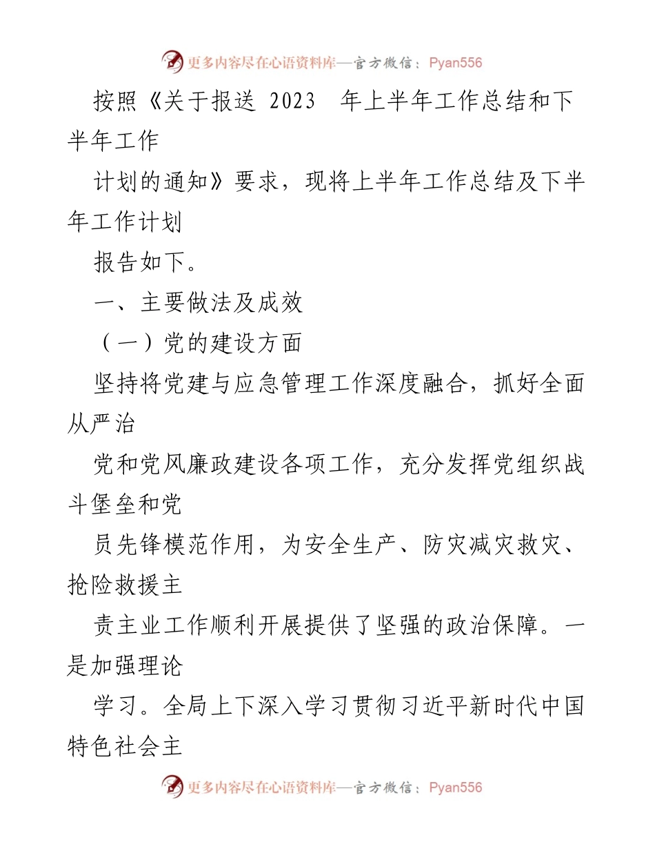 [工作总结] 上半年工作总结与下半年工作计划 - 2023年上半年工作总结及下半年工作计划报告.docx_第1页
