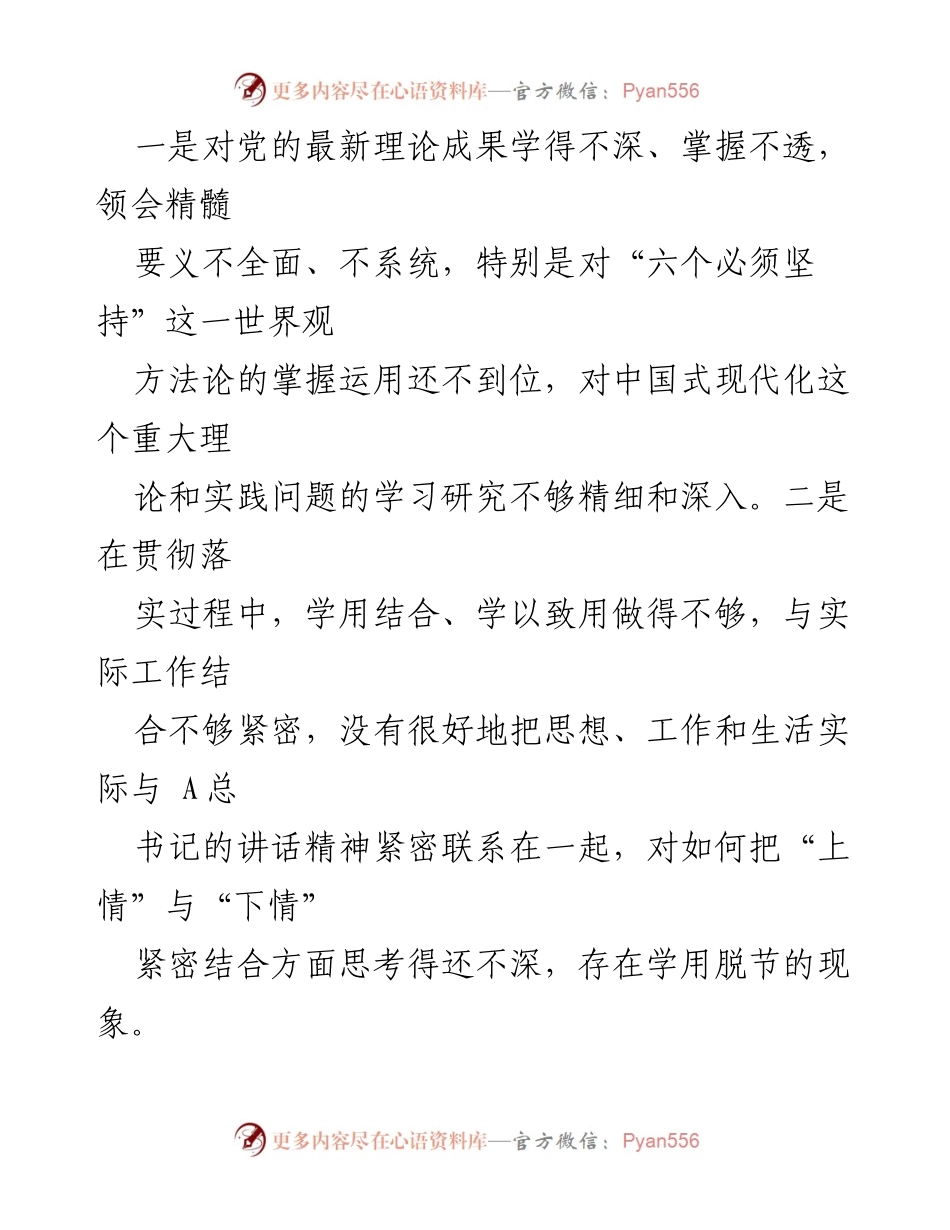 [工作总结] 主题教育专题民主生活会 - 班子成员对照检查及整改措施总结.docx_第2页
