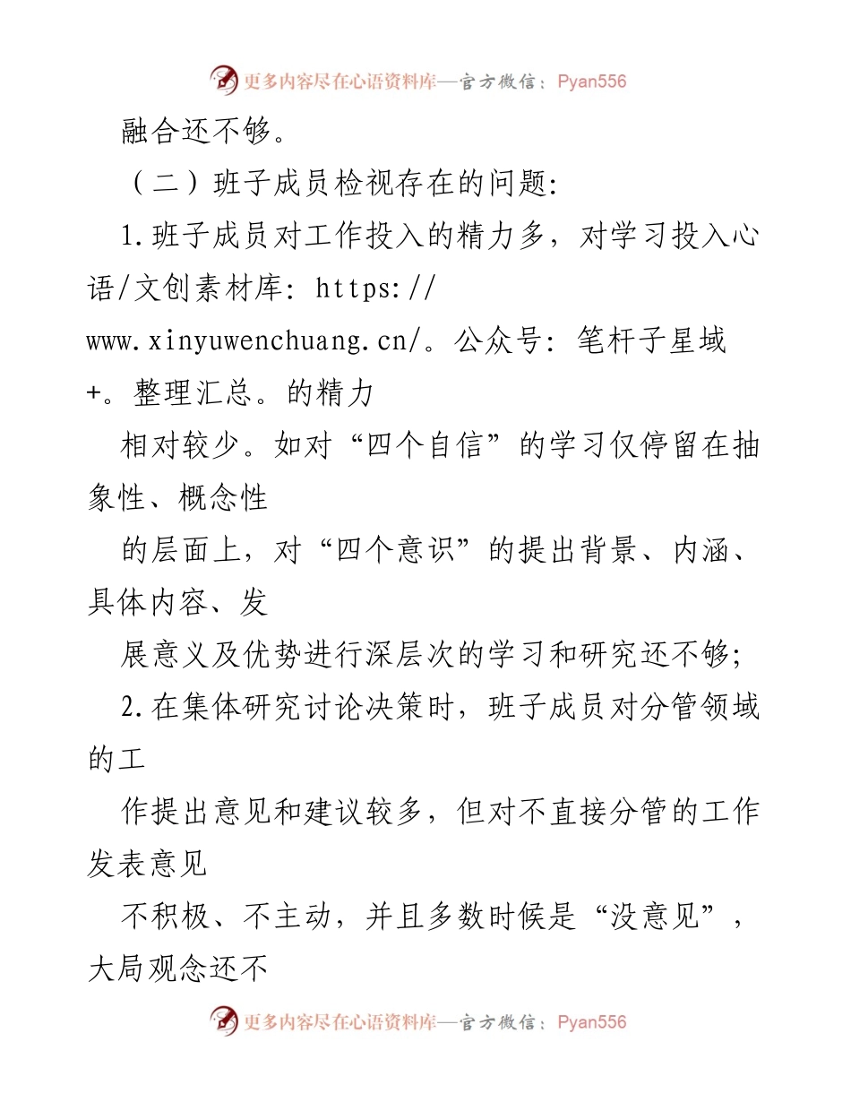 [工作总结] 主题教育 - 领导班子及成员问题检视与改进建议.docx_第2页