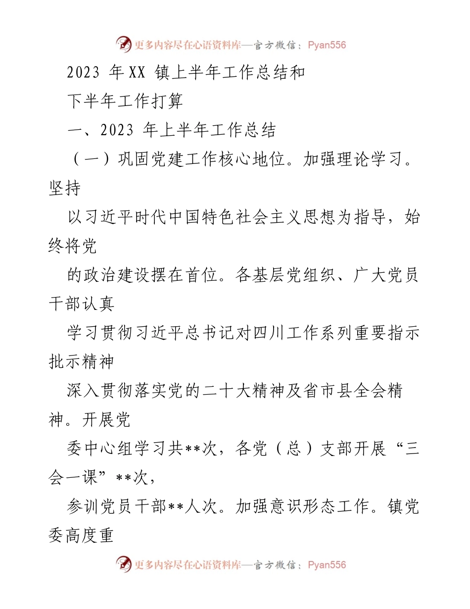 [工作总结] XX镇 - 2023年上半年工作总结及下半年工作计划.docx_第1页