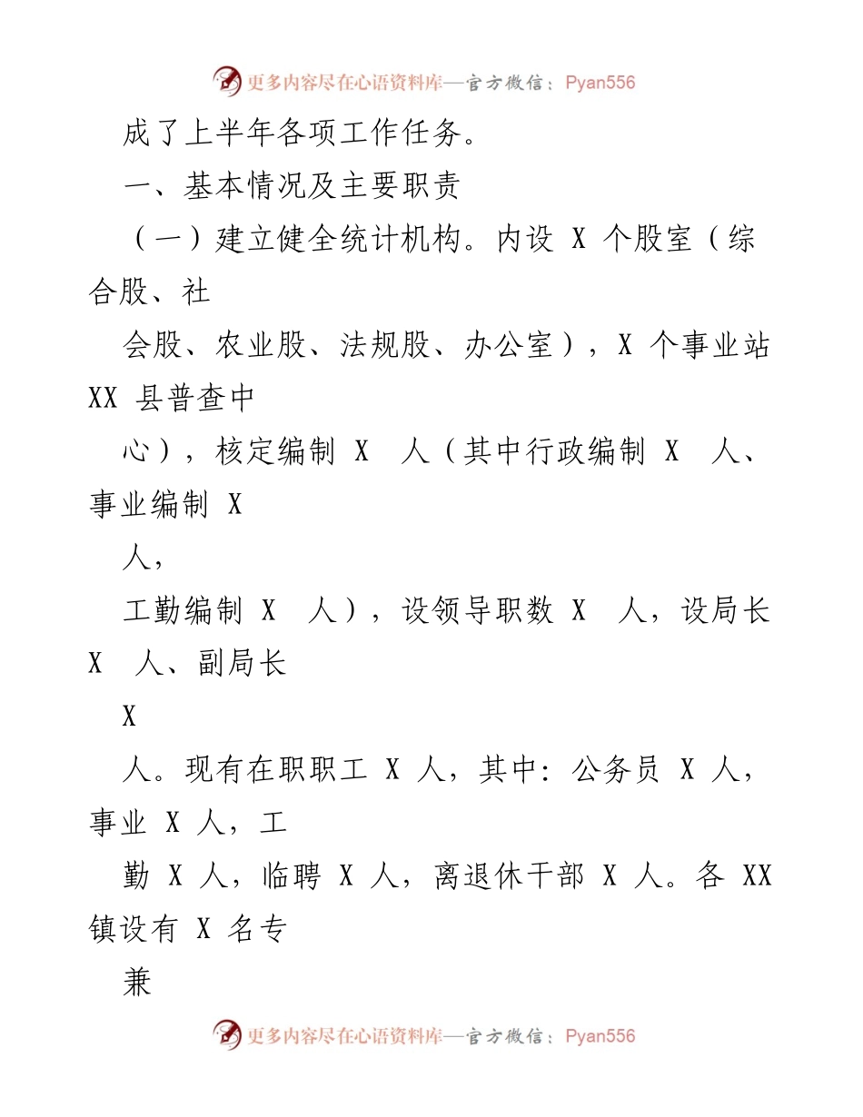 [工作总结] XXX县统计局 - 2023年上半年统计工作总结与发展情况.docx_第2页