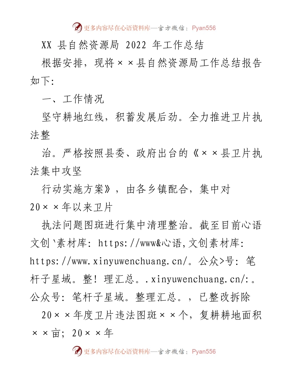 [工作总结] XX县自然资源局 - 2022年度工作总结报告.docx_第1页