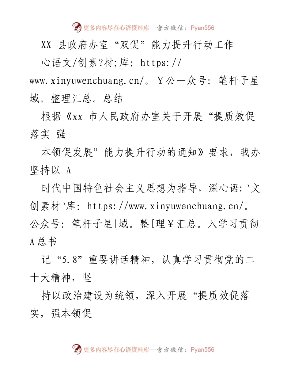 [工作总结] XX 县政府办 - “双促”能力提升行动工作总结.docx_第1页