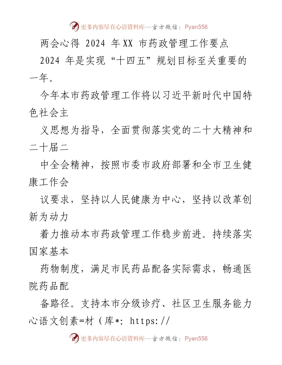 [工作总结] 两会 - 2024年XX市药政管理工作要点与实施策略.docx_第1页