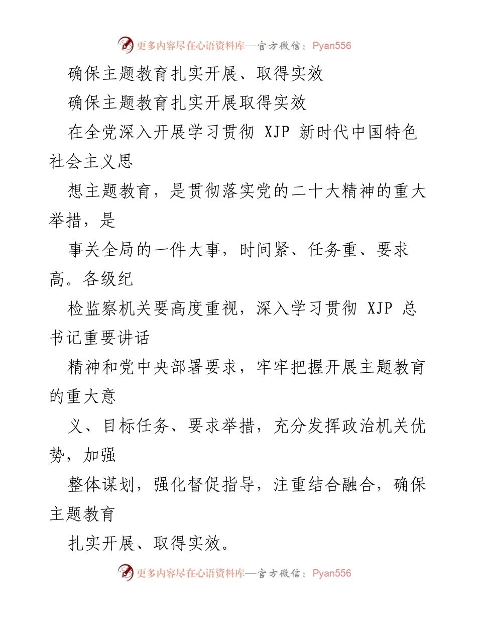 [工作总结] 主题教育 - 确保主题教育扎实开展与实效提升的工作总结.docx_第1页