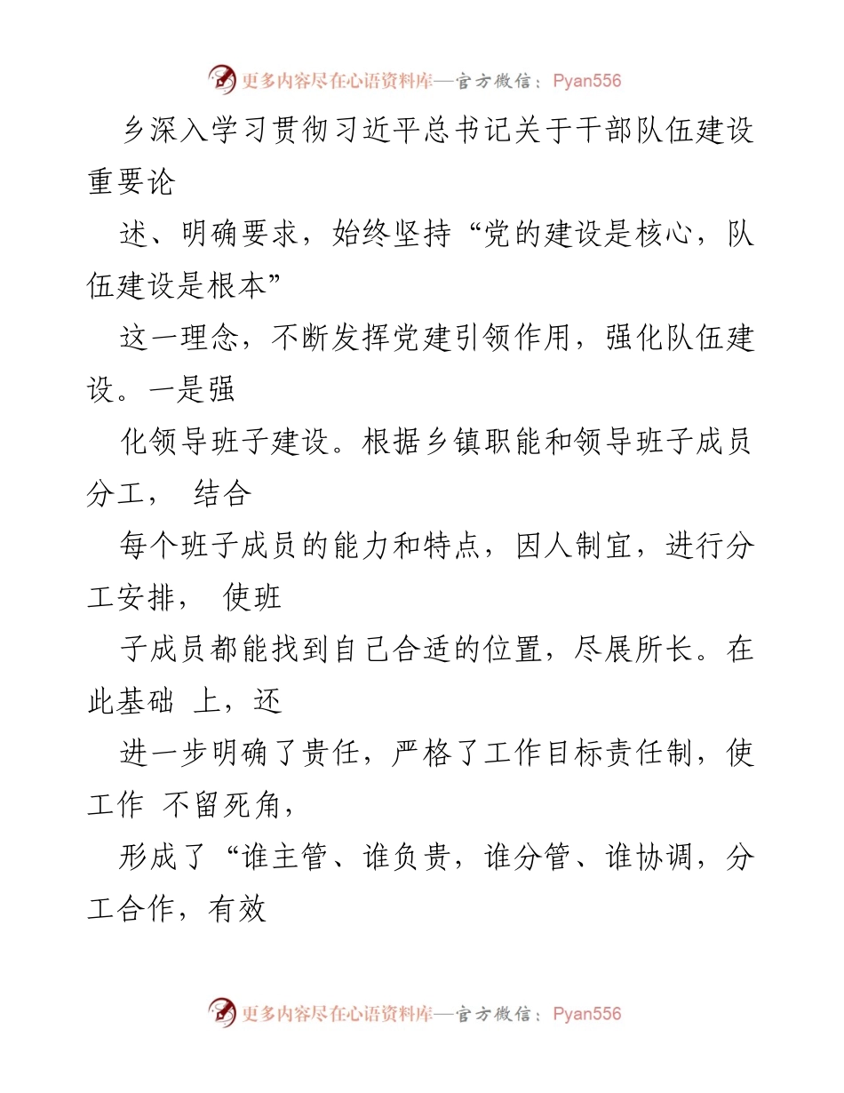 [工作总结] 乡镇党建工作 - 加强基层党建，推动高质量发展.docx_第2页