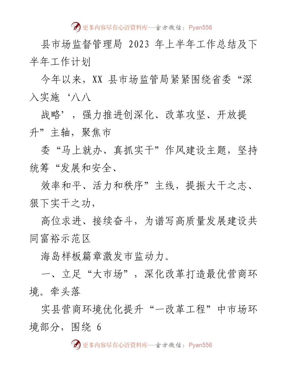 [工作总结] 上半年工作总结及下半年工作计划 - 县市场监督管理局2023年工作总结与展望.docx_第1页