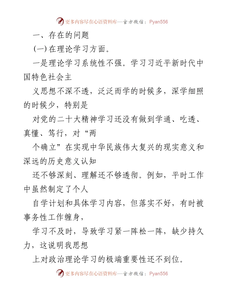 [工作总结] 专题民主生活会 - 2023年主题教育整改措施与问题分析_1.docx_第2页