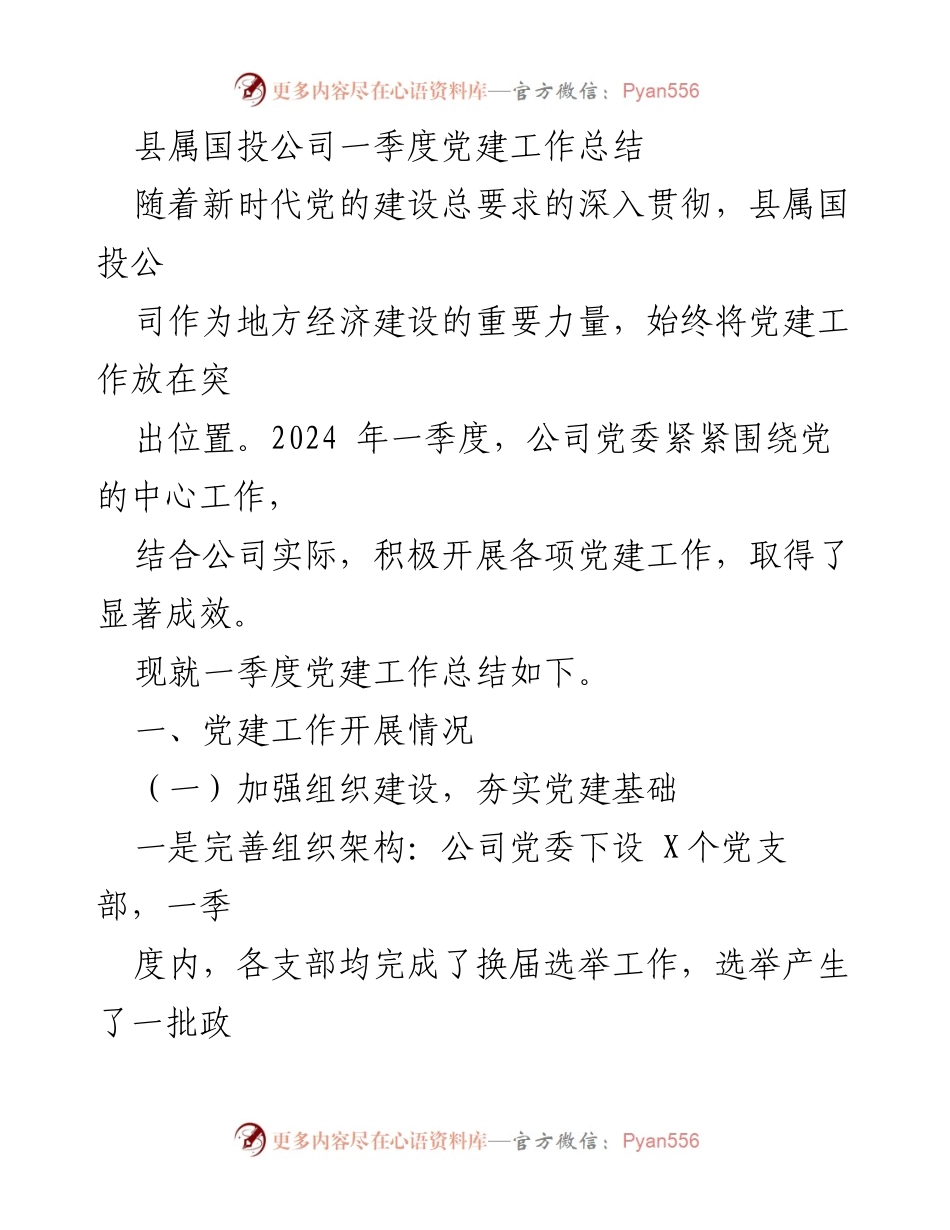 [工作总结] 一季度 - 县属国投公司党建工作总结.docx_第1页
