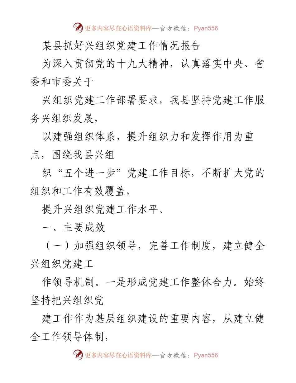 [工作总结] 党建工作 - 某县兴组织党建工作情况总结报告.docx_第1页