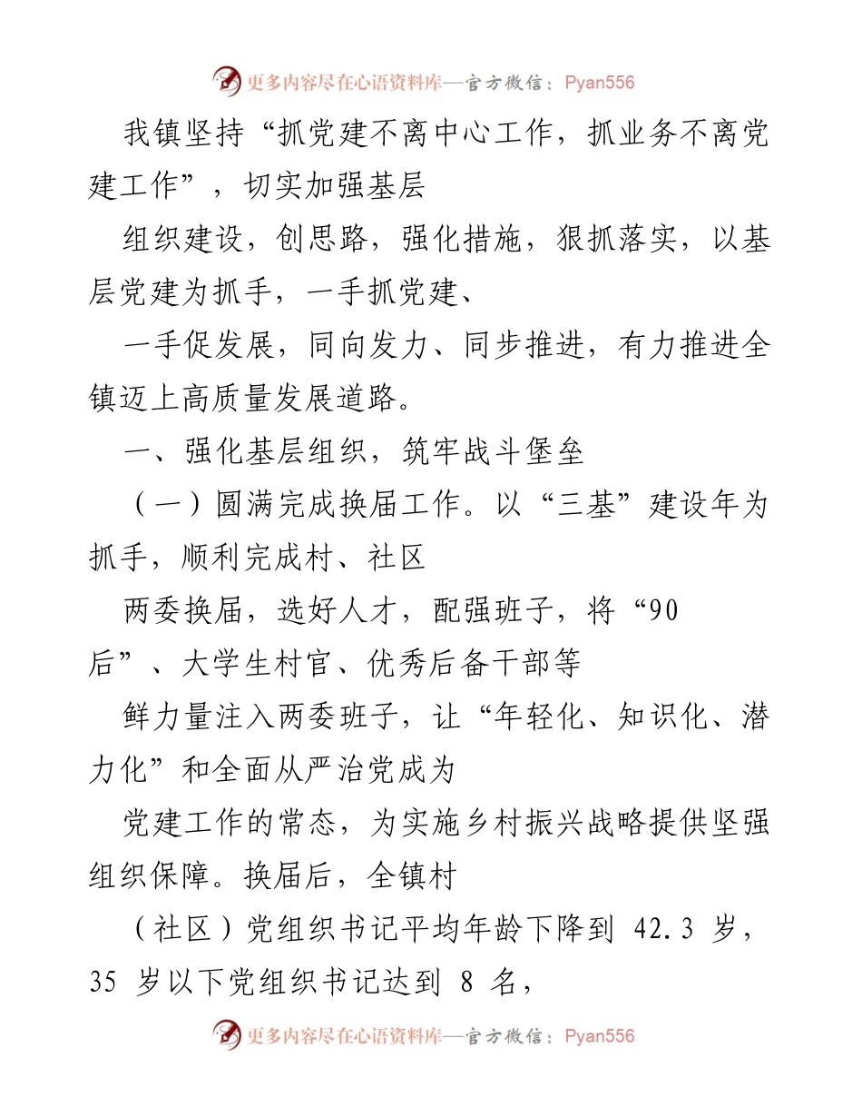 [工作总结] 党建工作 - 加强基层组织建设，推动高质量发展.docx_第1页