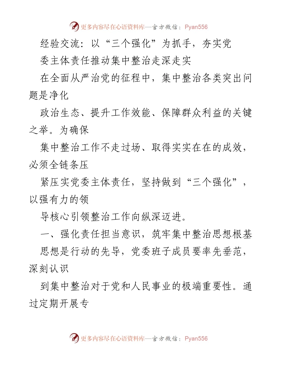 [工作总结] 党委会议 - 强化责任、制度与协同，推动集中整治深入实施.docx_第1页