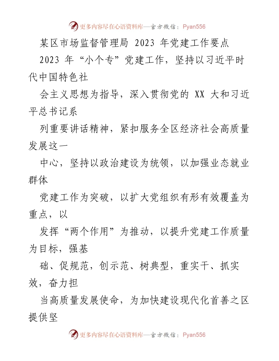 [工作总结] 党建工作会议 - 2023年某区“小个专”党建工作要点总结.docx_第1页