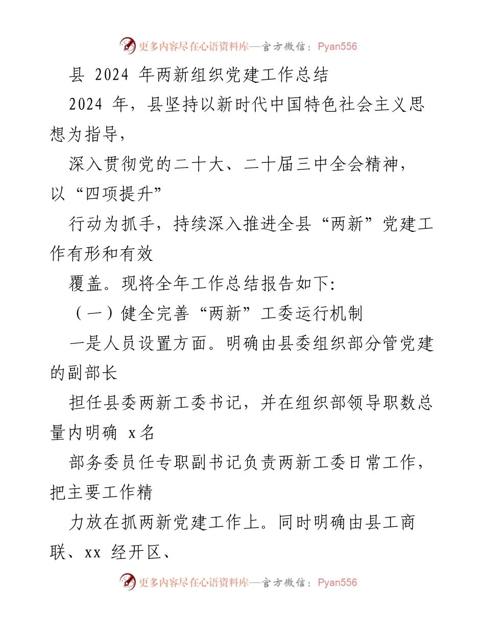 [工作总结] 党建工作 - 2024年县“两新”组织党建工作总结报告.docx_第1页