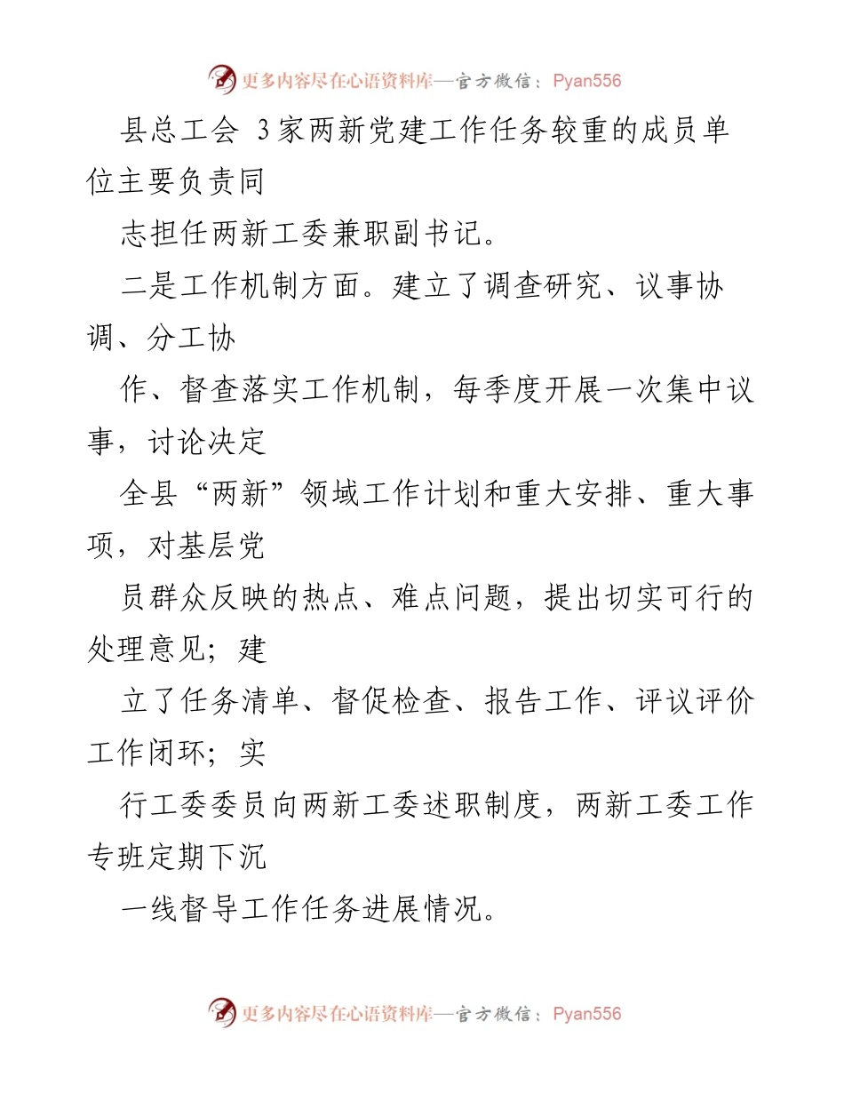 [工作总结] 党建工作 - 2024年县“两新”组织党建工作总结报告.docx_第2页