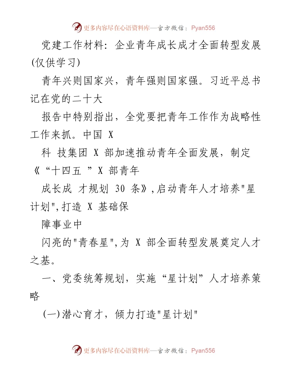 [工作总结] 党建工作 - 青年成长成才与全面转型发展的战略规划.docx_第1页