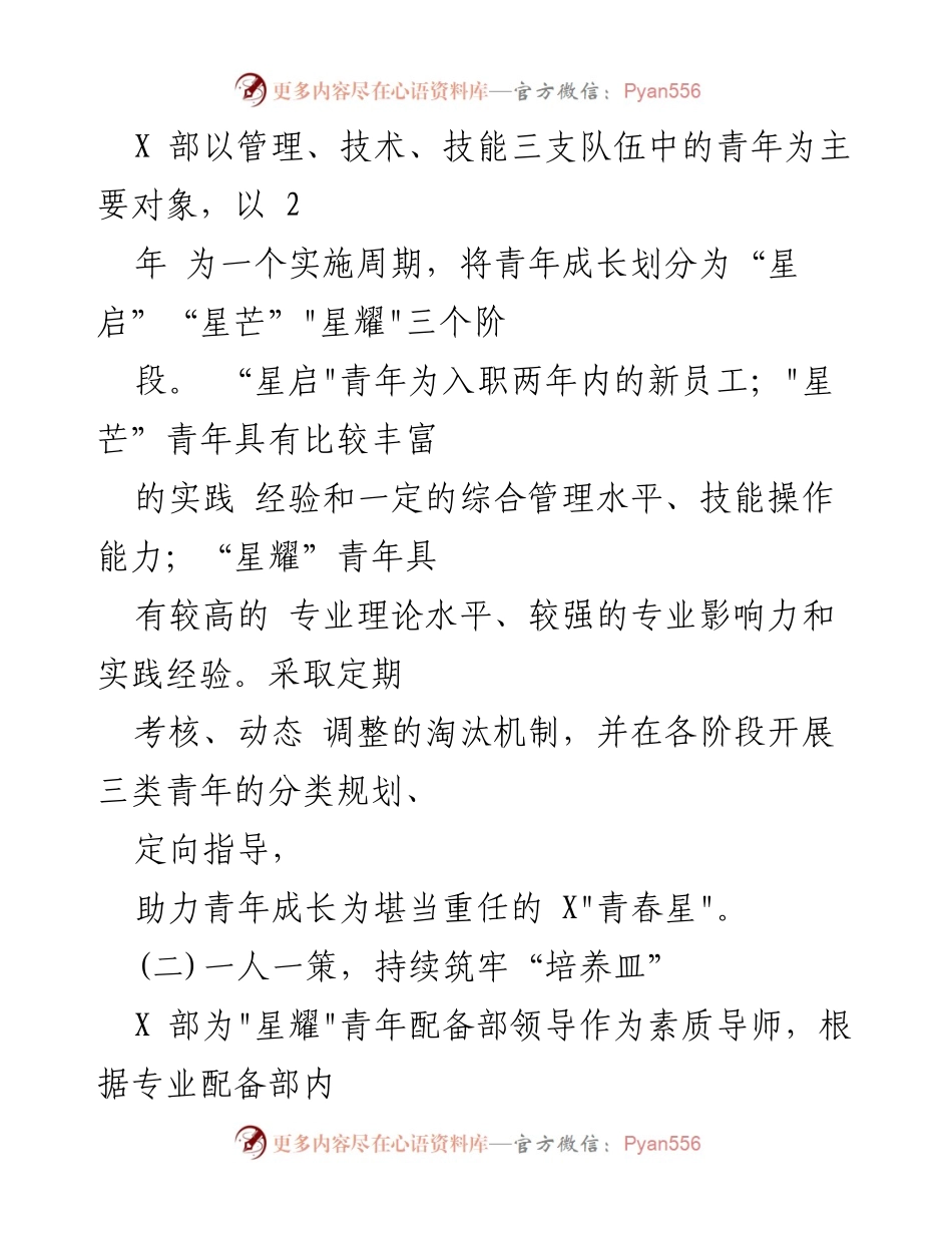 [工作总结] 党建工作 - 青年成长成才与全面转型发展的战略规划.docx_第2页