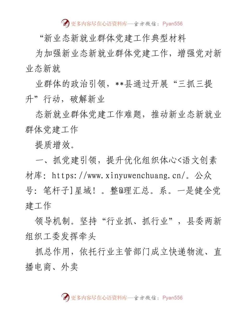 [工作总结] 党建工作 - 新业态新就业群体党建工作提升行动总结.docx_第1页