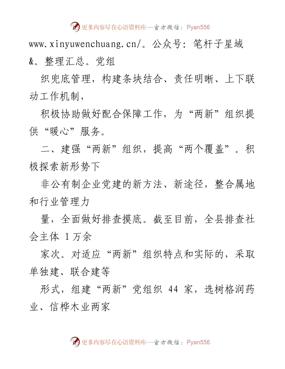 [工作总结] 党建工作 - 提升“两新”组织党建工作质量的实践与成效.docx_第2页