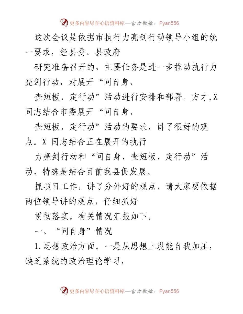 [工作总结] 会议 - 执行力亮剑行动推进工作总结.docx_第1页