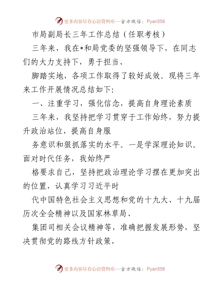 [工作总结] 任职考核 - 市局副局长三年工作总结报告.docx_第1页