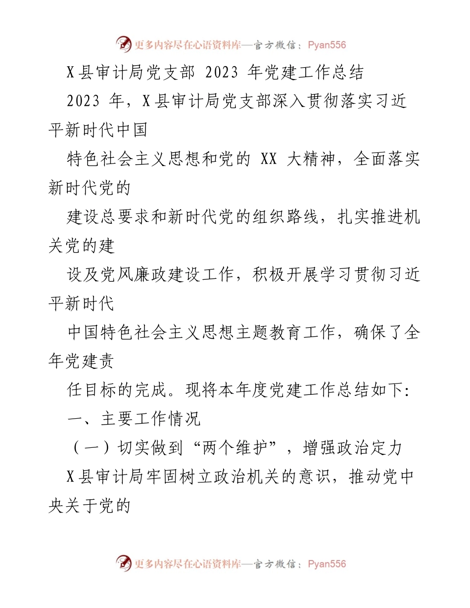 [工作总结] 党建工作 - X县审计局党支部2023年党建工作总结_1.docx_第1页