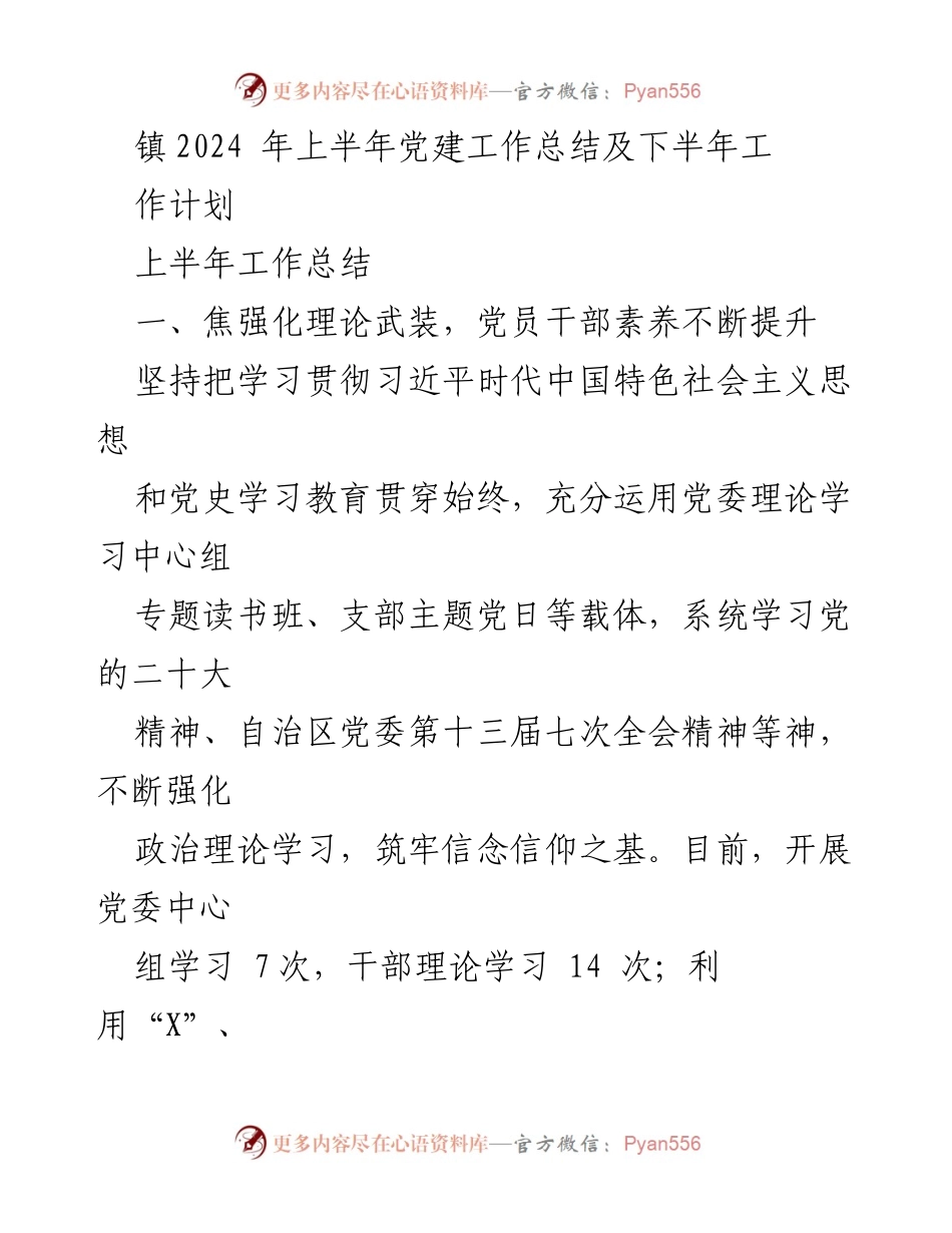 [工作总结] 党建工作 - 2024年上半年党建工作总结及下半年计划_3.docx_第1页
