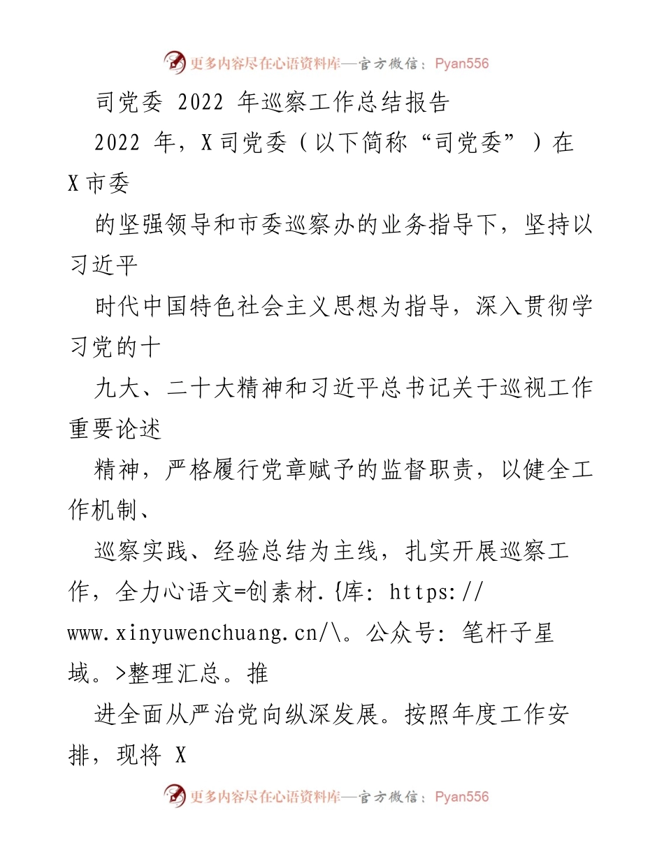 [工作总结] 党委巡察 - 2022年X司党委巡察工作总结报告.docx_第1页