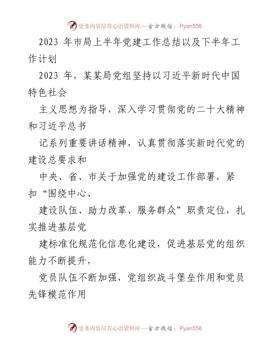 [工作总结] 党建工作 - 2023年市局上半年党建工作总结及下半年工作计划.docx_第1页