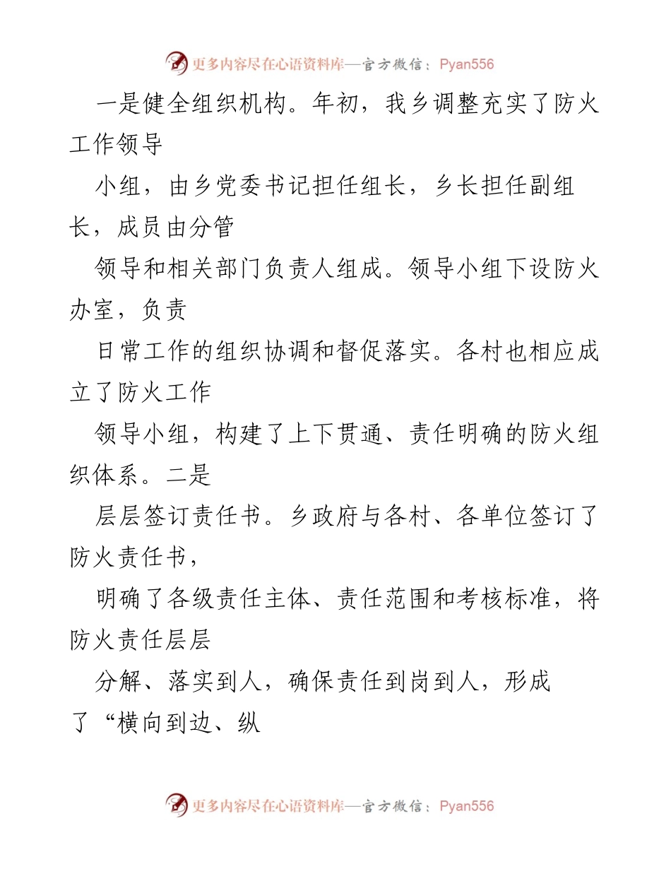 [工作总结] 乡镇防火工作 - 2024年乡防火工作总结报告.docx_第2页