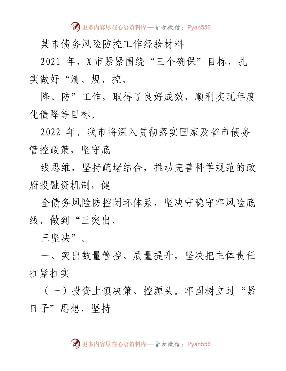 [工作总结] 债务风险防控 - X市债务风险防控工作经验总结.docx_第1页