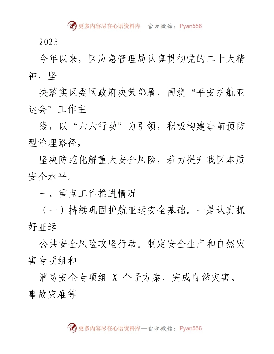 [工作总结] 亚运会安全保障工作 - 2023年区应急管理局安全工作推进情况总结.docx_第1页