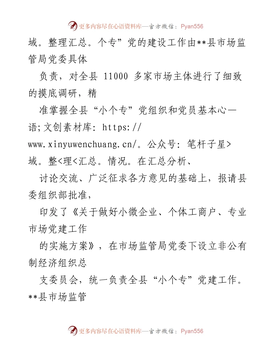 [工作总结] 党建工作 - 小个专党建工作汇报与发展策略.docx_第2页