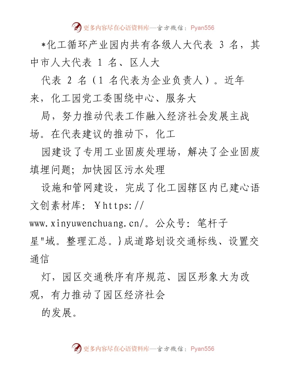 [工作总结] 人大代表工作会议 - 化工园区人大代表工作总结与展望.docx_第1页