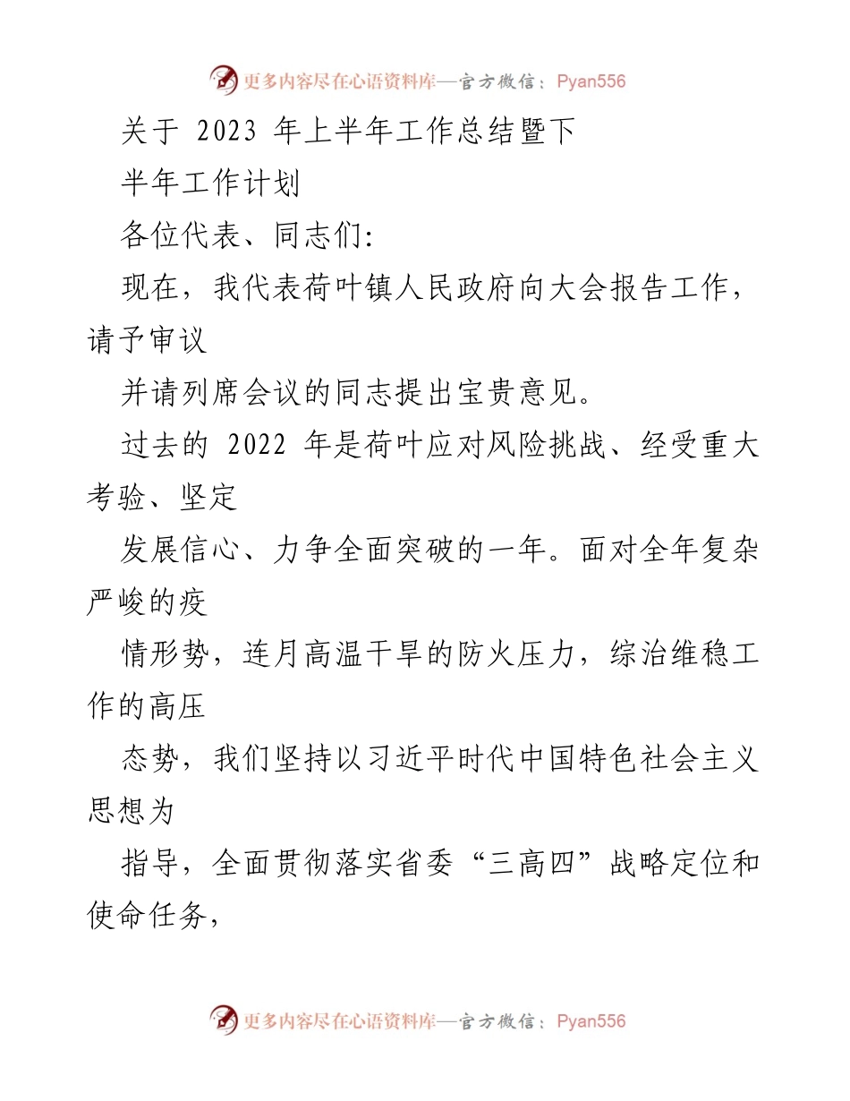 [工作总结] 会议 - 2023年上半年荷叶镇工作总结与下半年计划.docx_第1页
