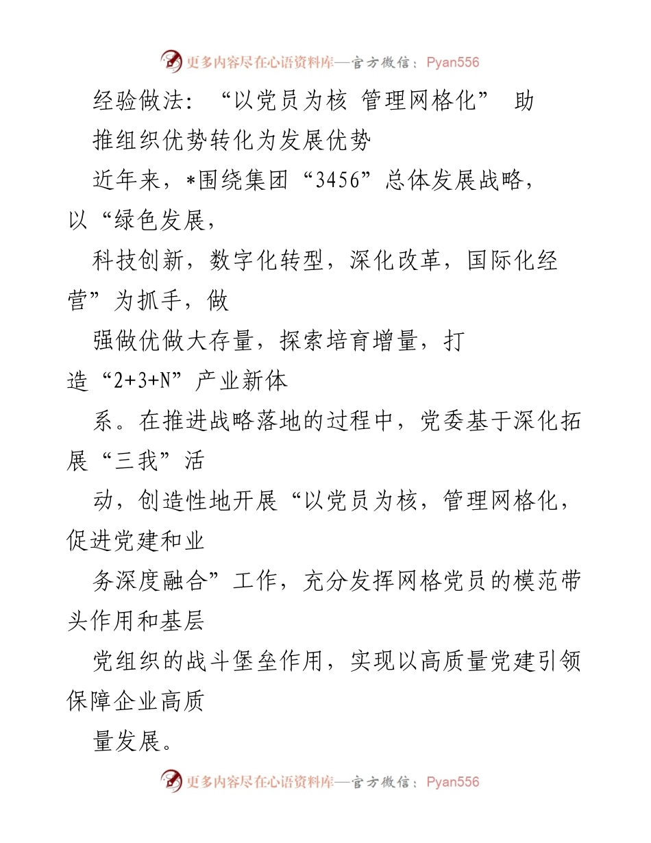 [工作总结] 企业党建 - 以党员为核，管理网格化：推动高质量党建引领企业发展.docx_第1页