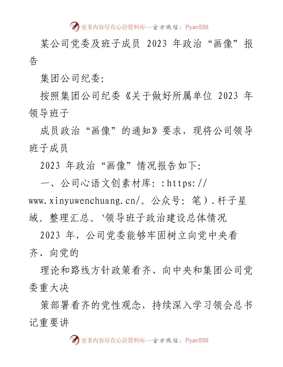 [工作总结] 党委工作 - 2023年公司领导班子政治“画像”报告.docx_第1页